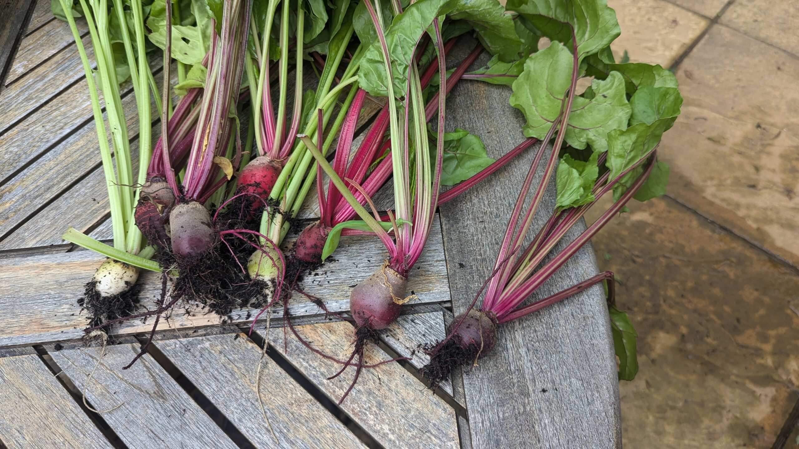 Welcome to our Kitchen Garden